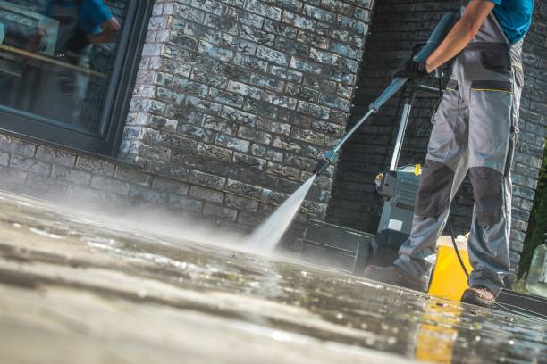 Best Animal Enclosure Cleaning  in Duquesne, MO